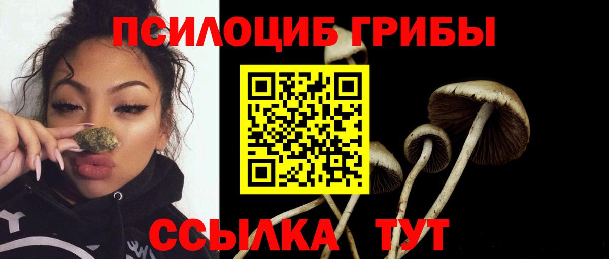 Псилоцибиновые грибы мицелий  Вход с VPN  Псилоцибиновые грибы мухоморы  Каменка 